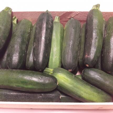 Courgettes vertes