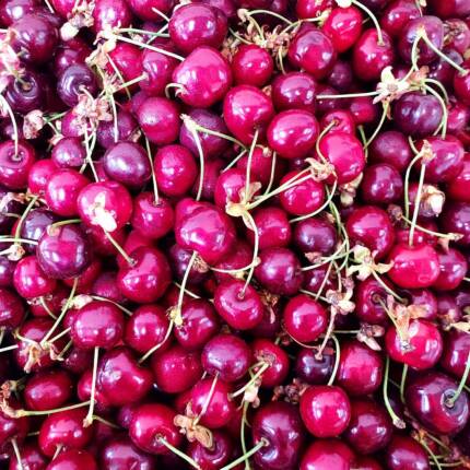 Cerises