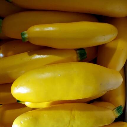 Courgettes jaunes