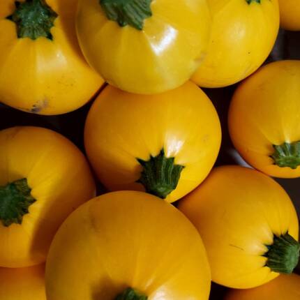 Courgettes rondes jaunes