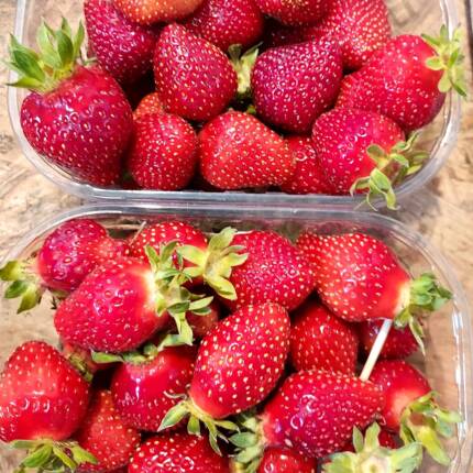 Fraises 250g