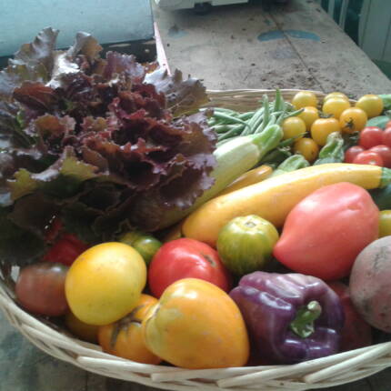 PANIER mixte "Fruits & Légumes" de saison