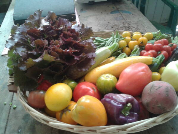 PANIER mixte "Fruits & Légumes" de saison