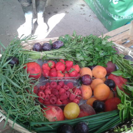PANIER fruits du moment