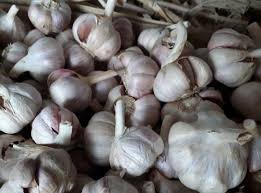 Ail Violet