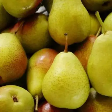 Poires Harrow Sweet