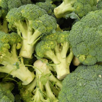 Chou Brocoli