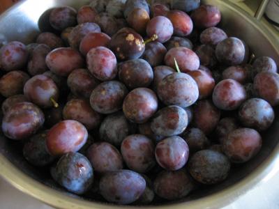 Prunes Rouge