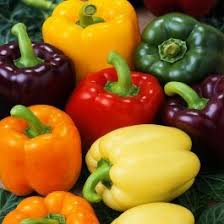 Poivrons multi-couleurs