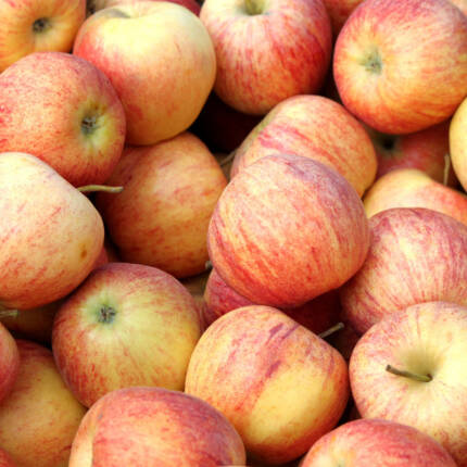 Pommes gala
