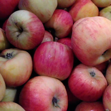Pommes pirouette